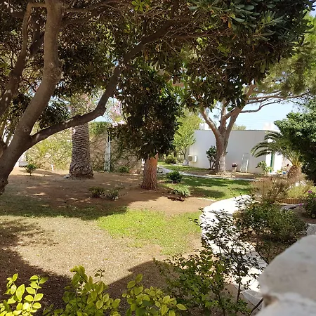 酒店 纳克索海滩酒店