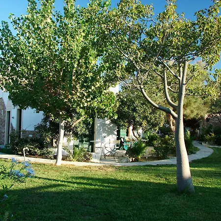 酒店 纳克索海滩酒店 Naxos City