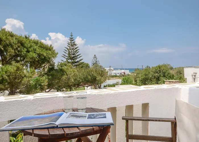 Naxos 2*